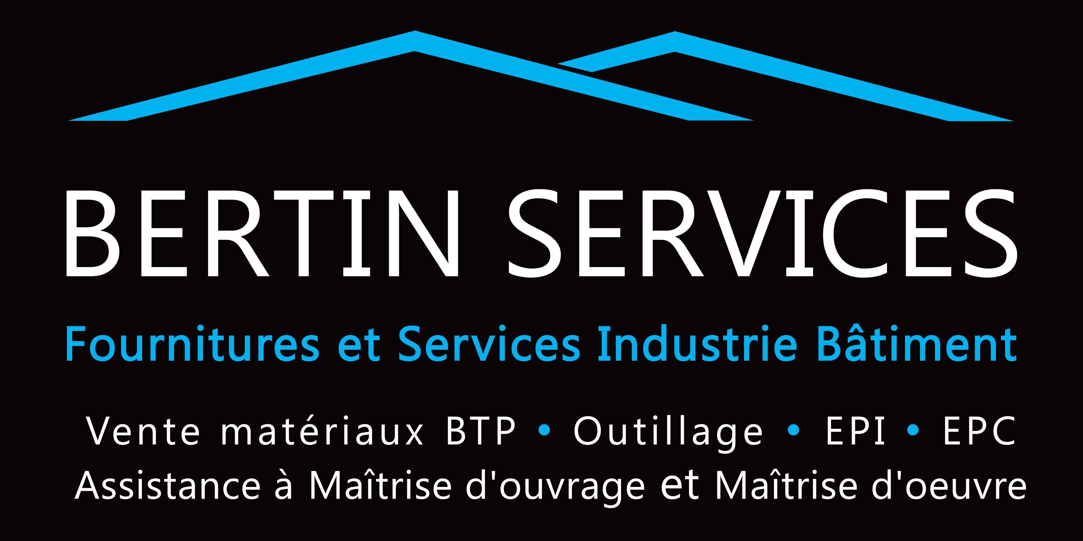 Logo BERTIN SERVICES