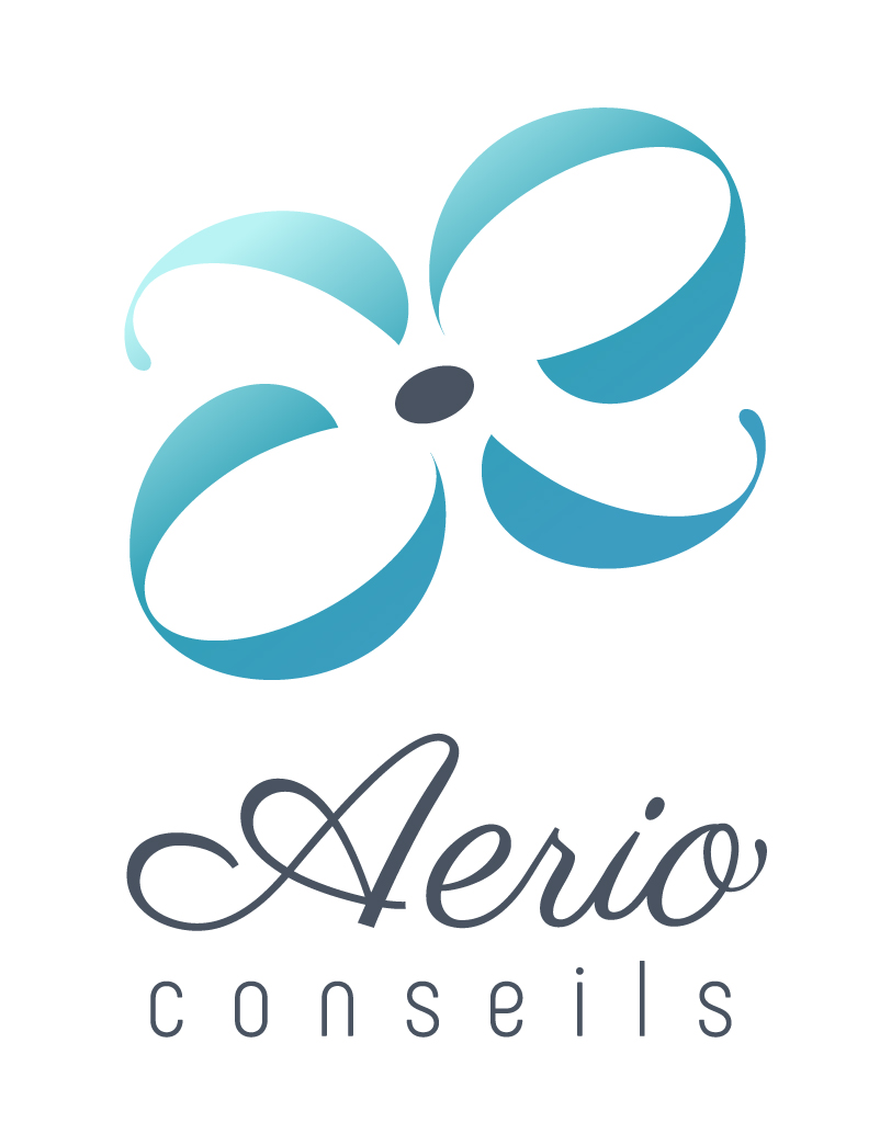 Logo AERIO CONSEILS